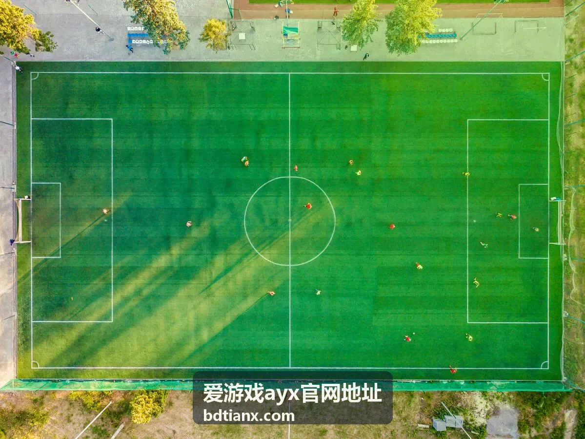 爱游戏ayx官网地址 下载中断处理顺序配图
